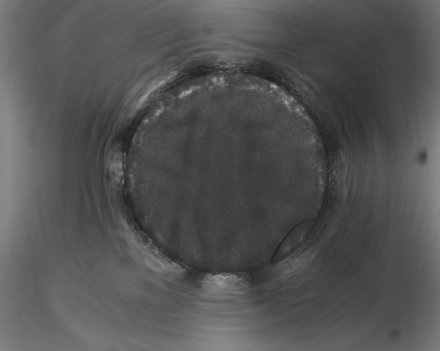 X0000115480137200912041002