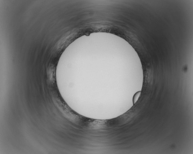 X0000115480138200912041002