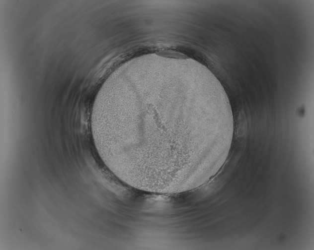 X0000115480140200912041002