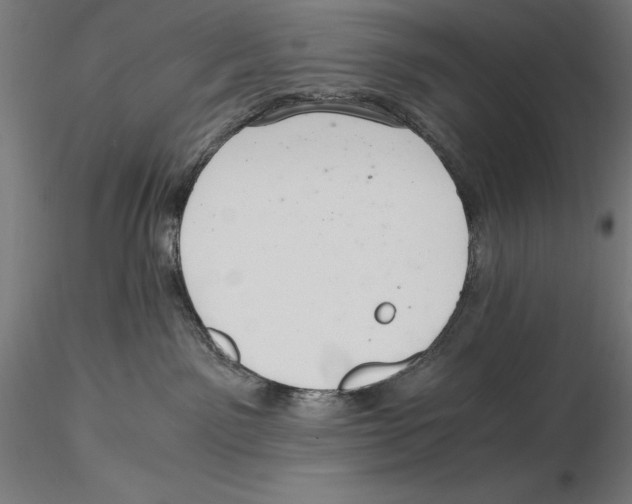 X0000115480141200912041002