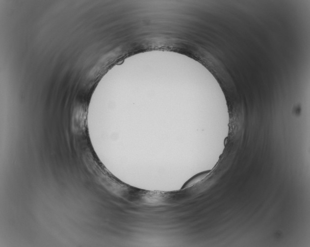 X0000115480142200912041001