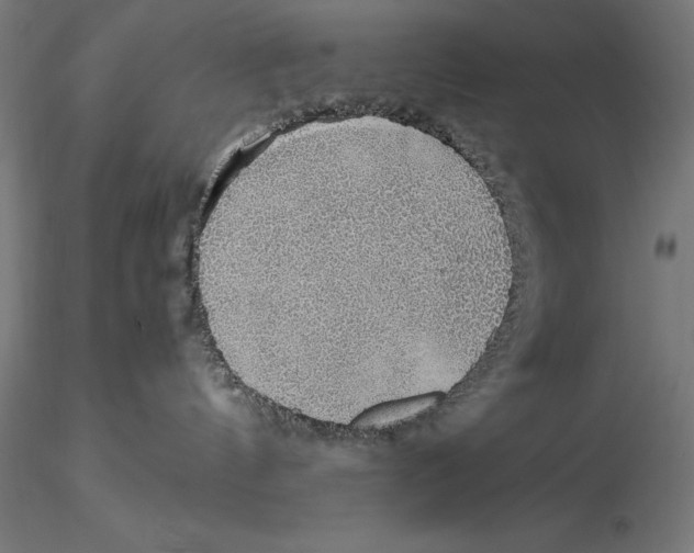 X0000115480144200912041001