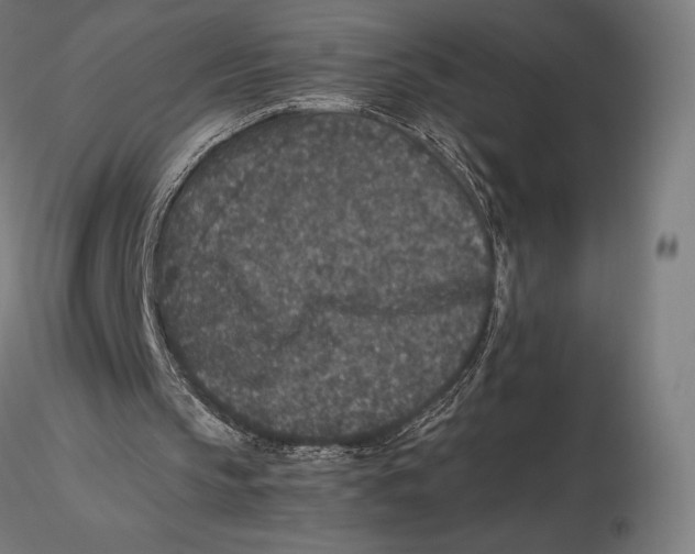 X0000115480145200912041001