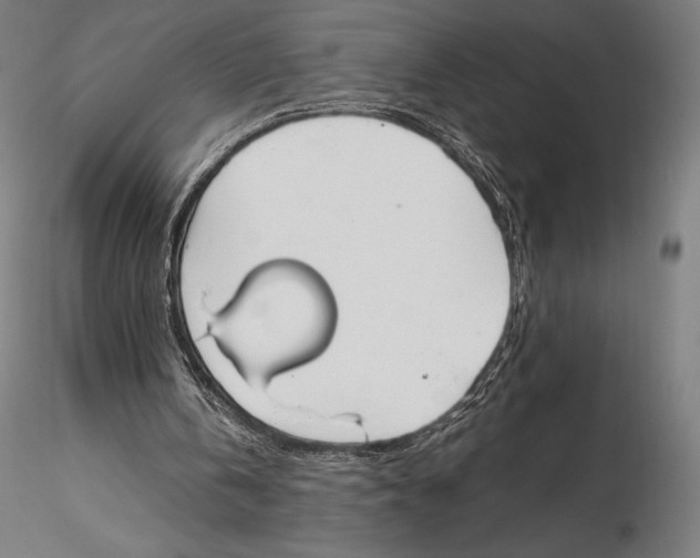 X0000115480146200912041001