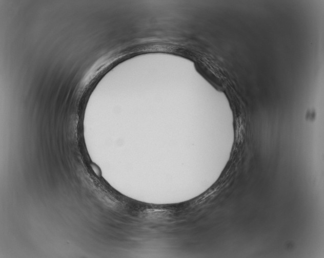 X0000115480150200912041001