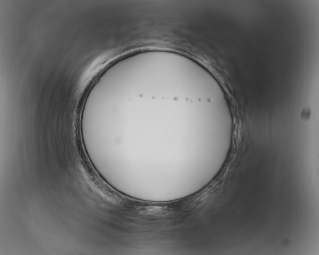 X0000115480151200912041001