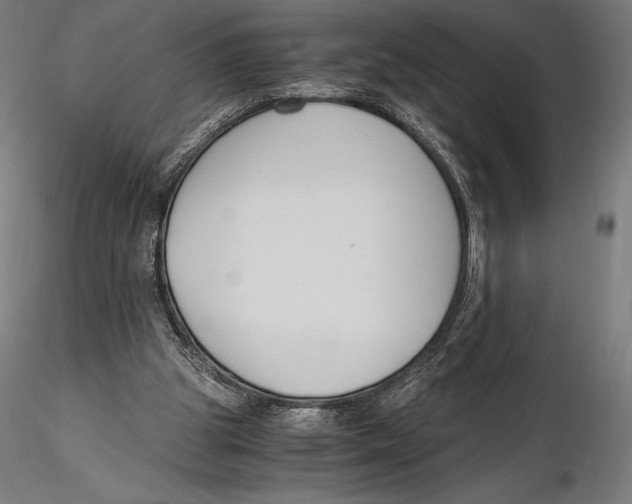 X0000115480153200912041001