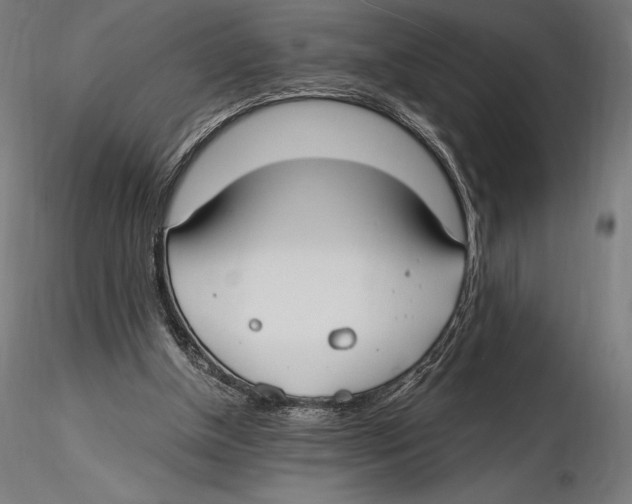 X0000115480154200912041001