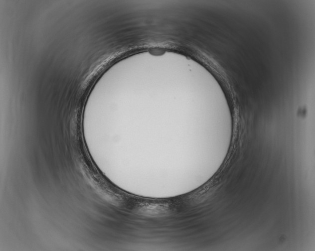 X0000115480155200912041001