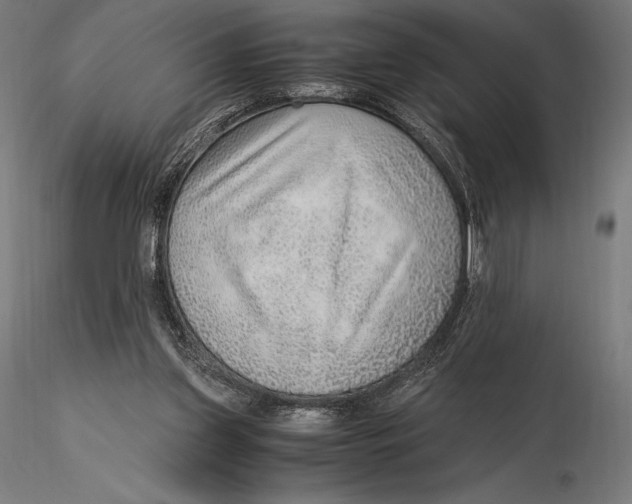 X0000115480157200912041001