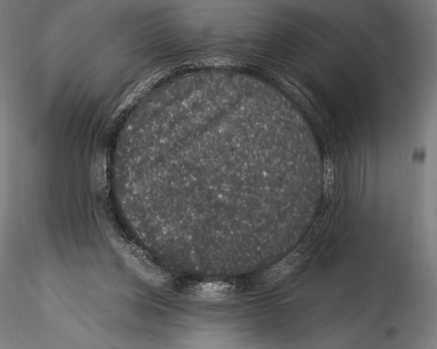X0000115480158200912041001