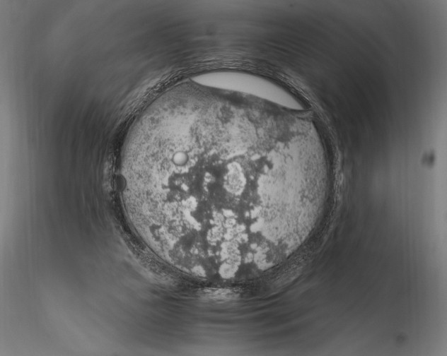 X0000115480161200912041001