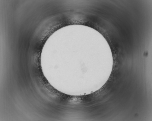 X0000115480162200912041001