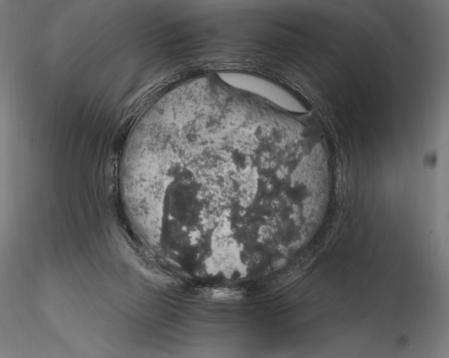X0000115480165200912041001