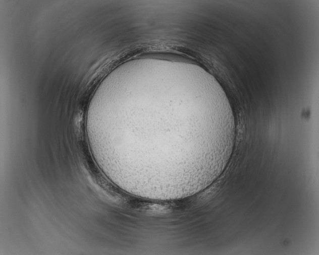 X0000115480166200912041001