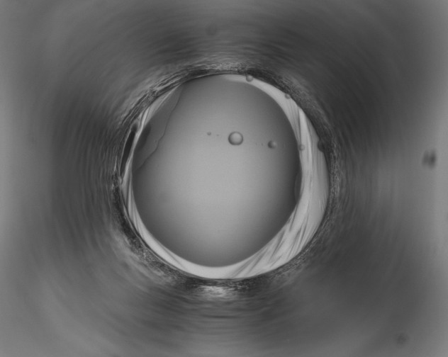 X0000115480167200912041001