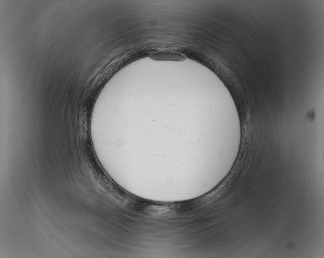 X0000115480170200912041001