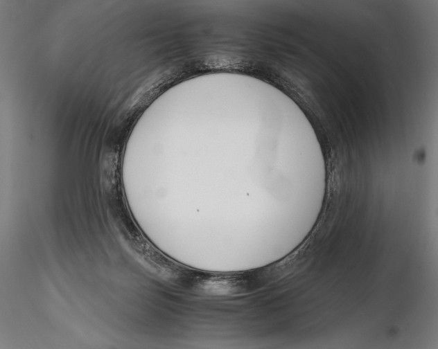 X0000115480171200912041001