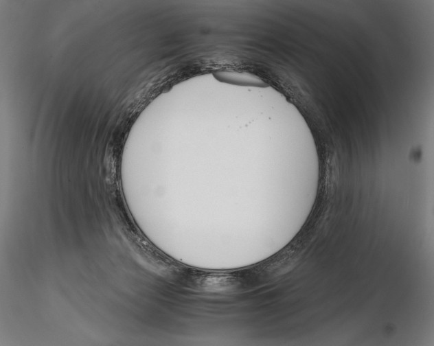 X0000115480173200912041001