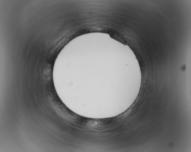 X0000115480174200912041001