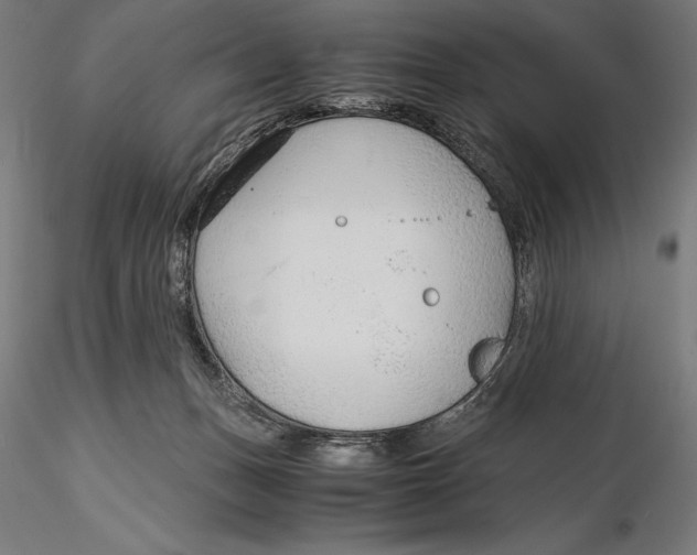 X0000115480175200912041001