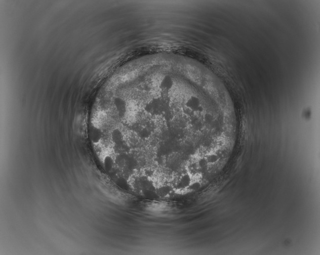 X0000115480177200912041001