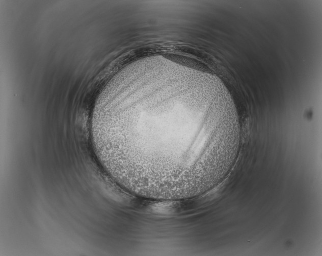 X0000115480178200912041001