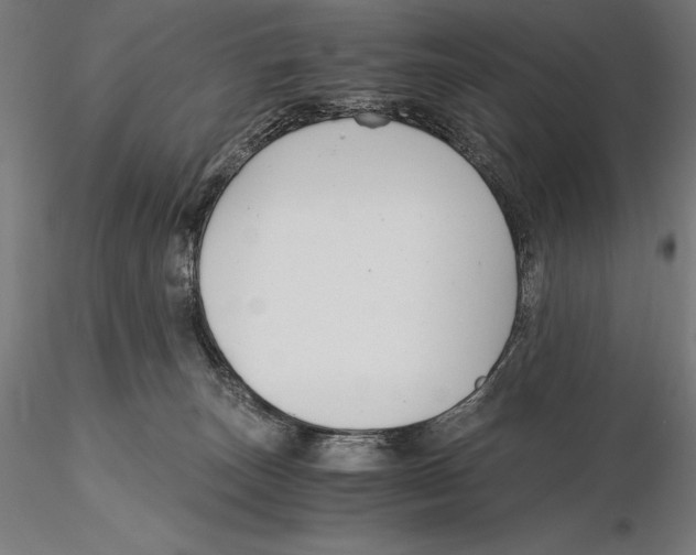 X0000115480179200912041001