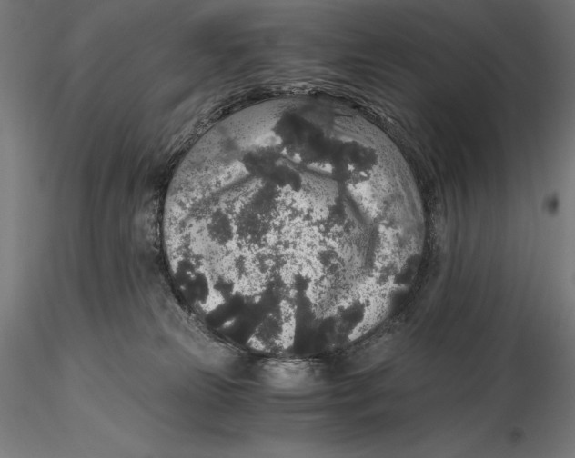 X0000115480181200912041001