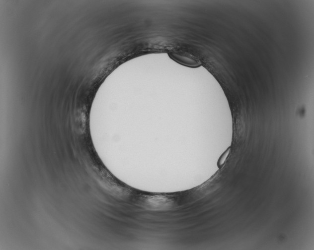 X0000115480183200912041001