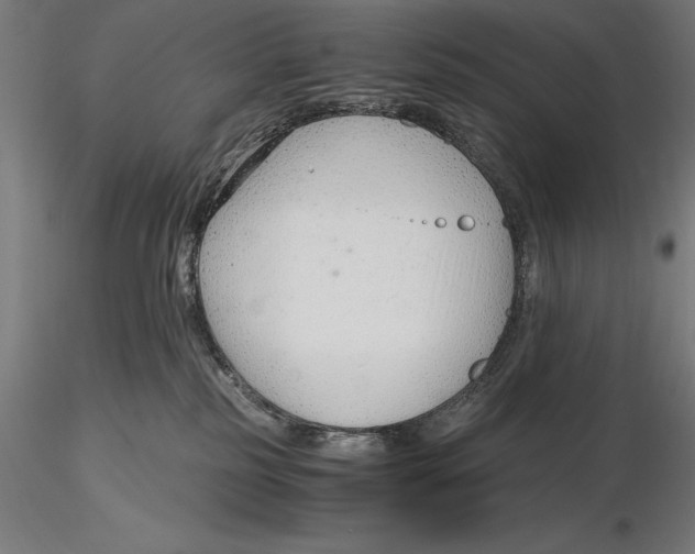 X0000115480185200912041001
