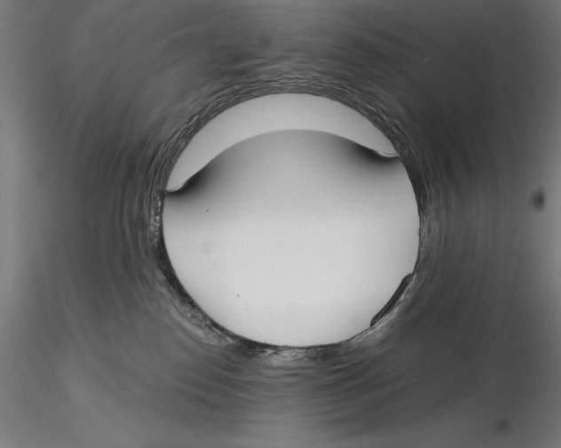 X0000115480186200912041001