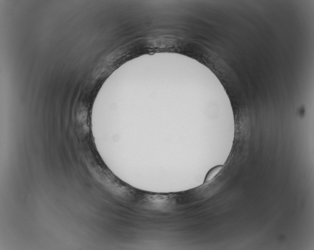 X0000115480187200912041001