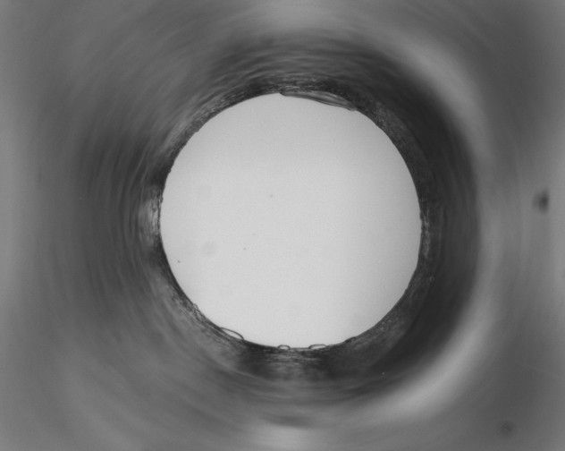 X0000115480190200912041001