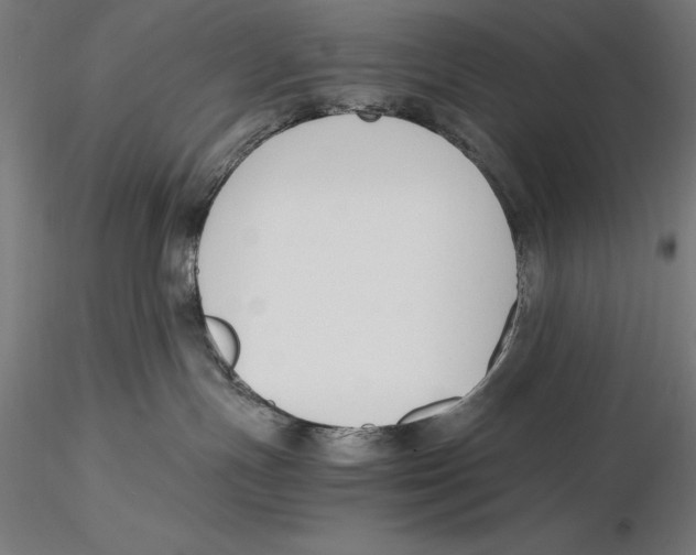X0000115480191200912041001