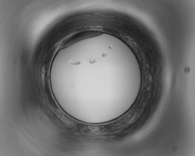 X0000115480194200912041001