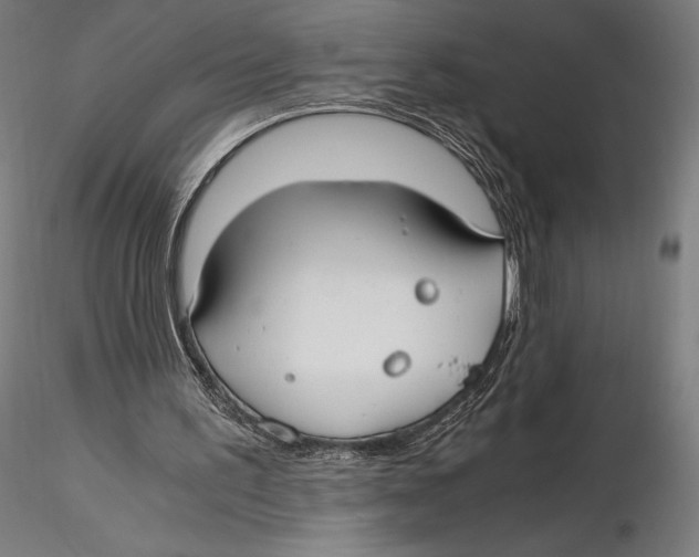 X0000115480195200912041001