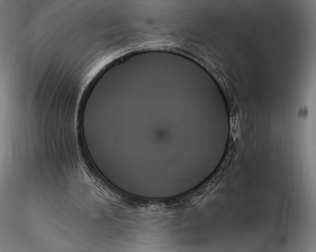 X0000115480196200912041001