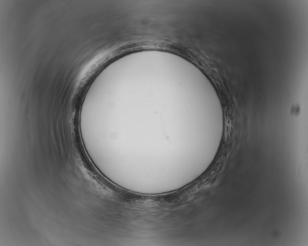 X0000115480197200912041001