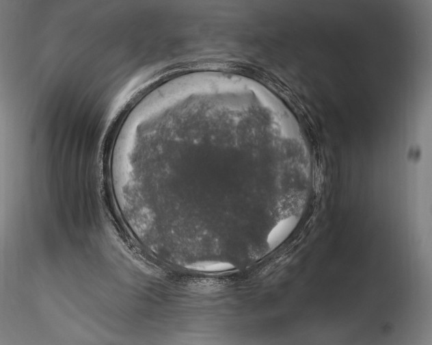 X0000115480198200912041001