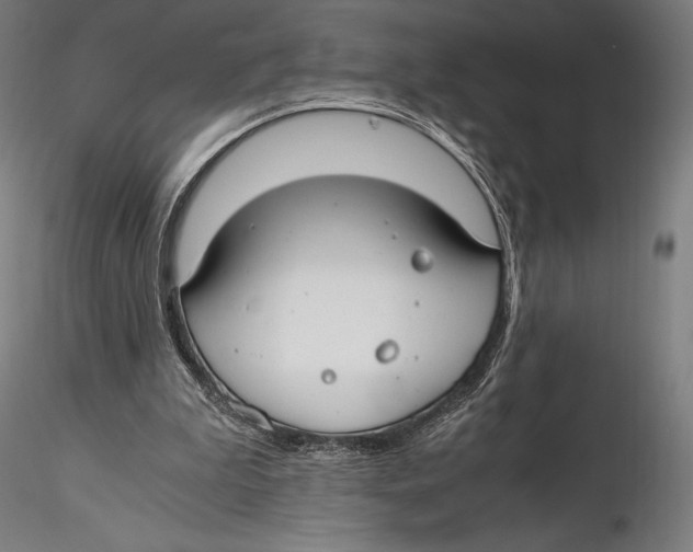 X0000115480199200912041001