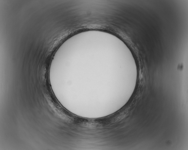 X0000115480201200912041001