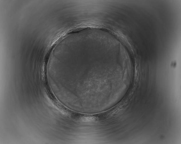 X0000115480202200912041001