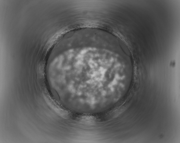 X0000115480203200912041001