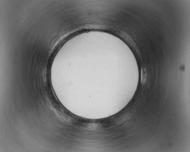 X0000115480204200912041001