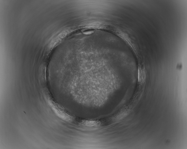 X0000115480205200912041001
