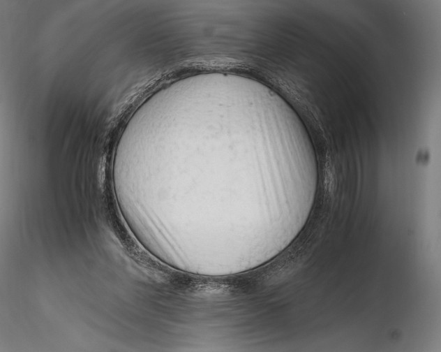 X0000115480206200912041001