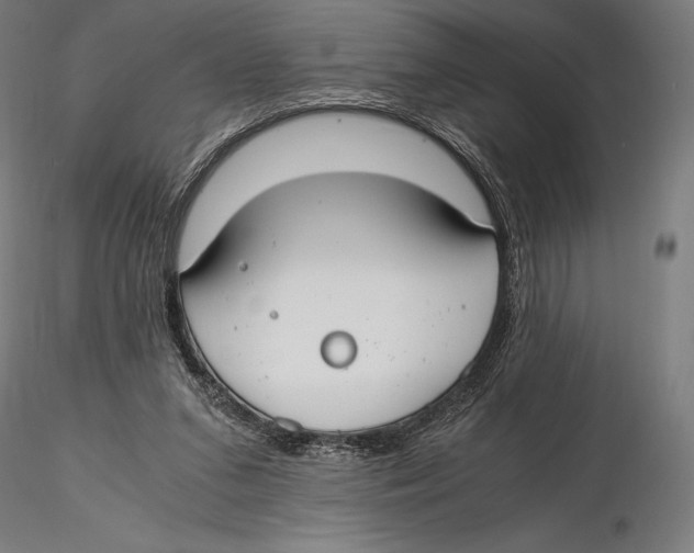 X0000115480207200912041001