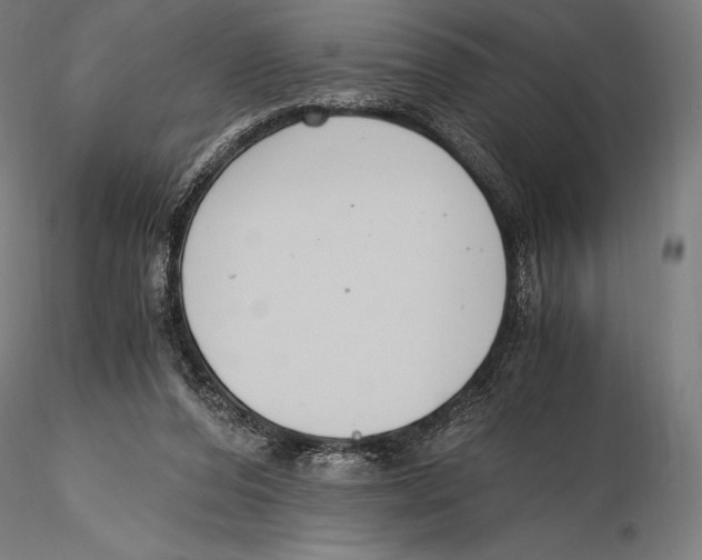 X0000115480208200912041001