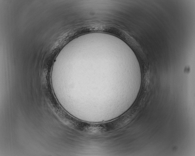 X0000115480209200912041001